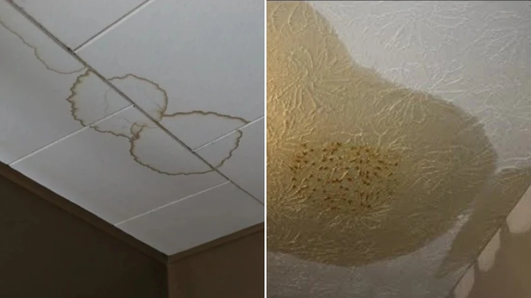 علامات تسرب مياه الأمطار في الأسطح